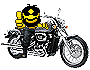 :bike06: